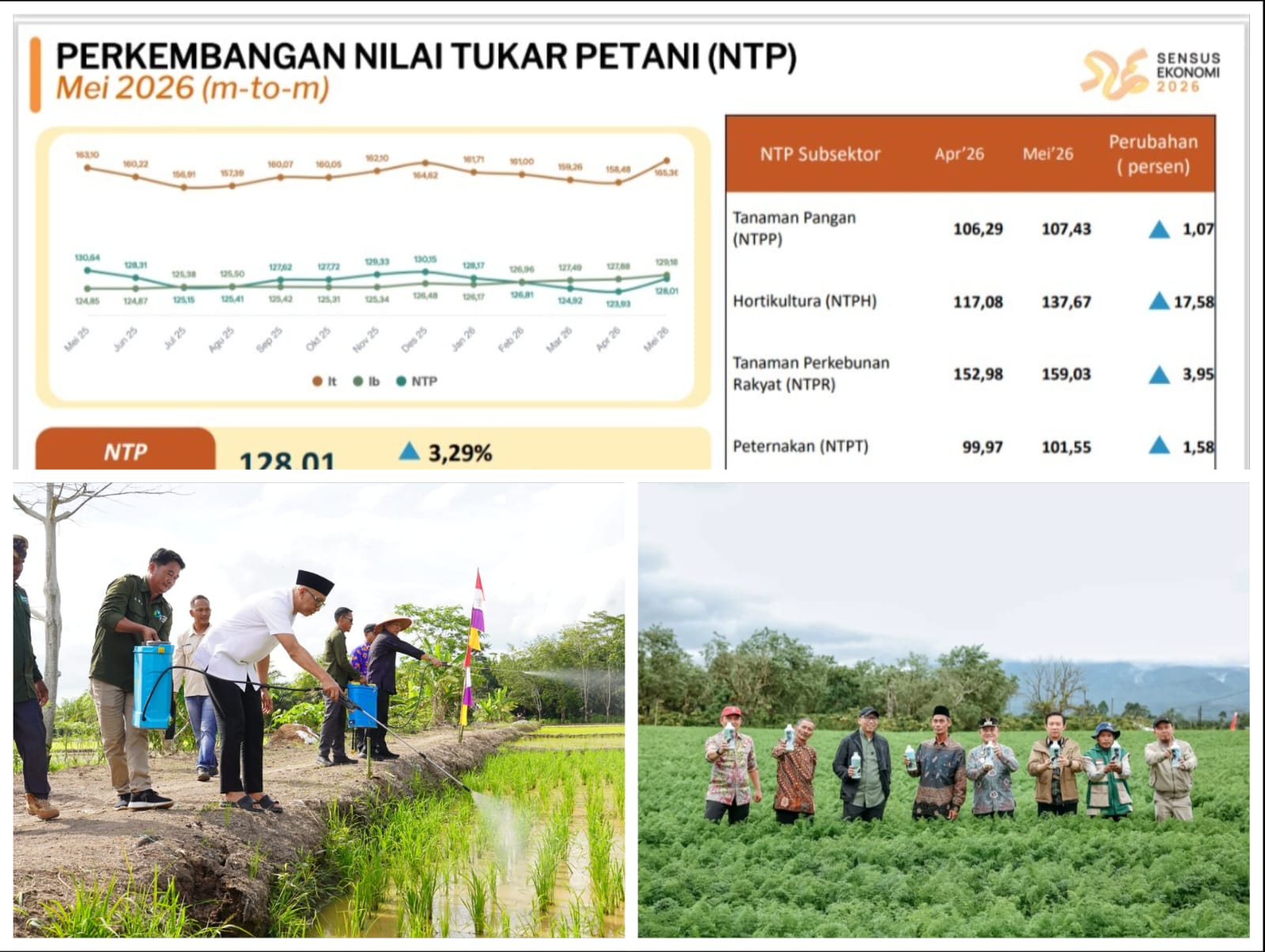 NTP Lampung Mei 2026 Naik Menjadi 128,01, Kesejahteraan Petani Terus Menguat