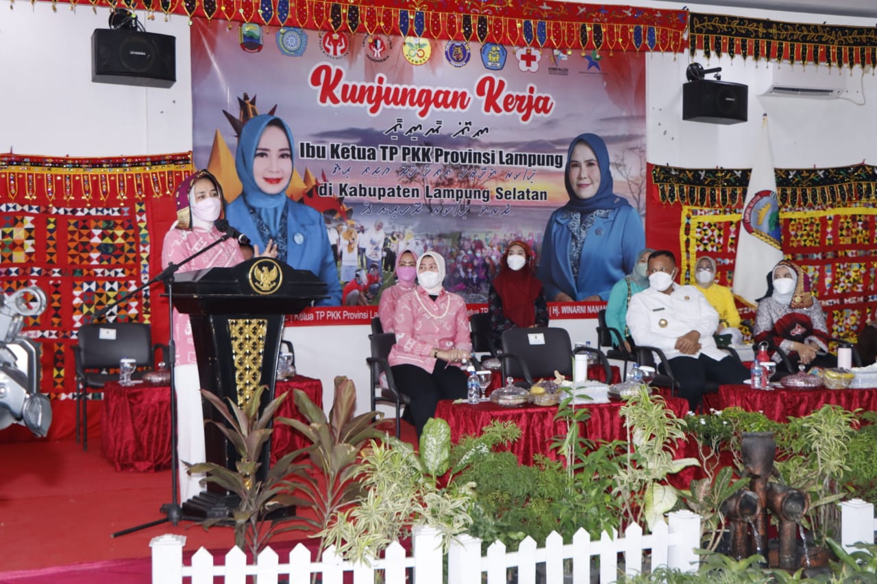 Ketua TP PKK Provinsi Lampung Lakukan Kunjungan Kerja Dan Pembinaan Organisasi Di Kabupaten Lampung Selatan