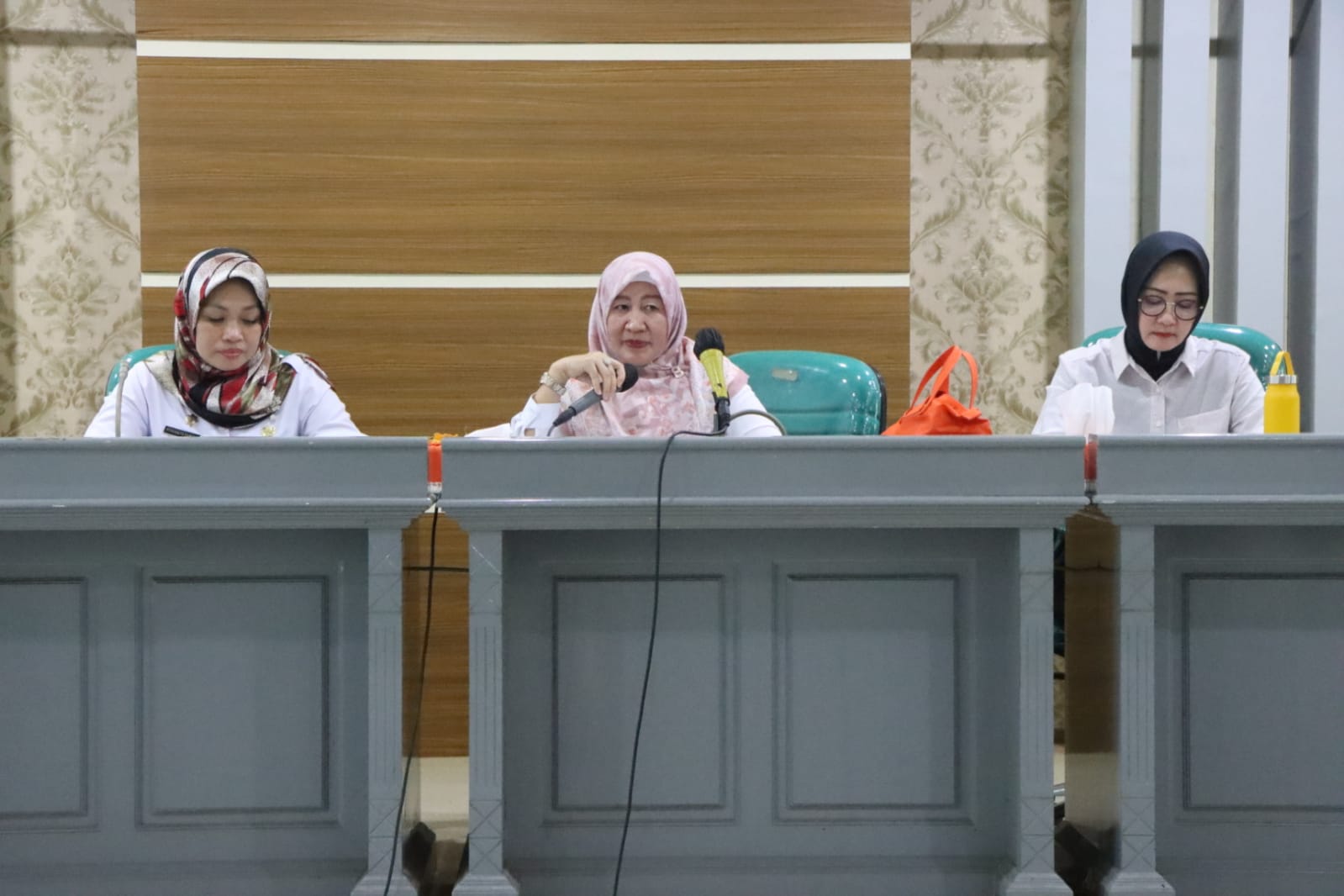 Tim Penggerak PKK Provinsi Lampung Gelar Rapat Persiapan  Kunker Ke Kabupaten dan Kota
