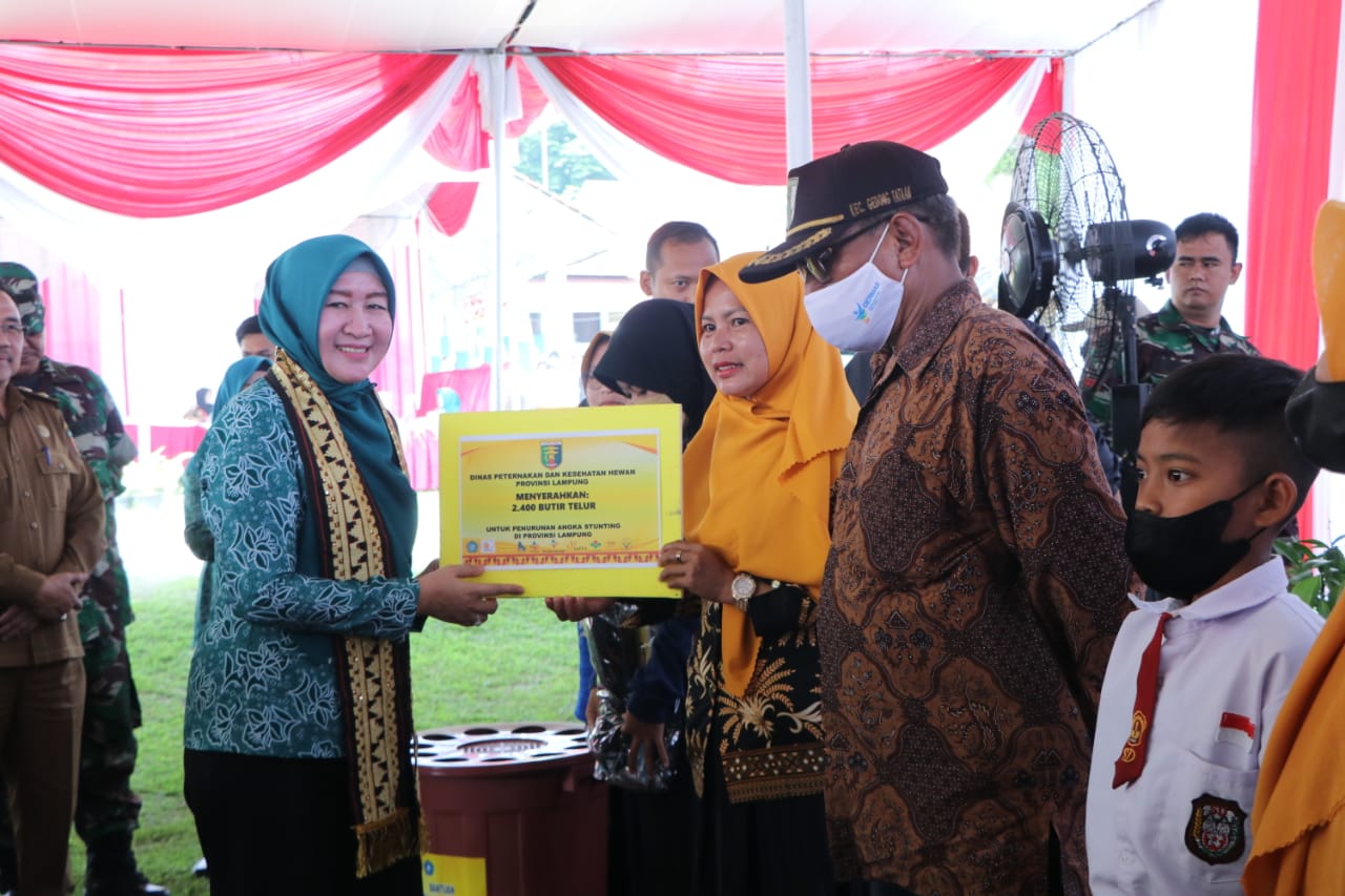 TP PKK Provinsi Lampung Kunker dan Serahkan Bantuan untuk Masyarakat Pesawaran