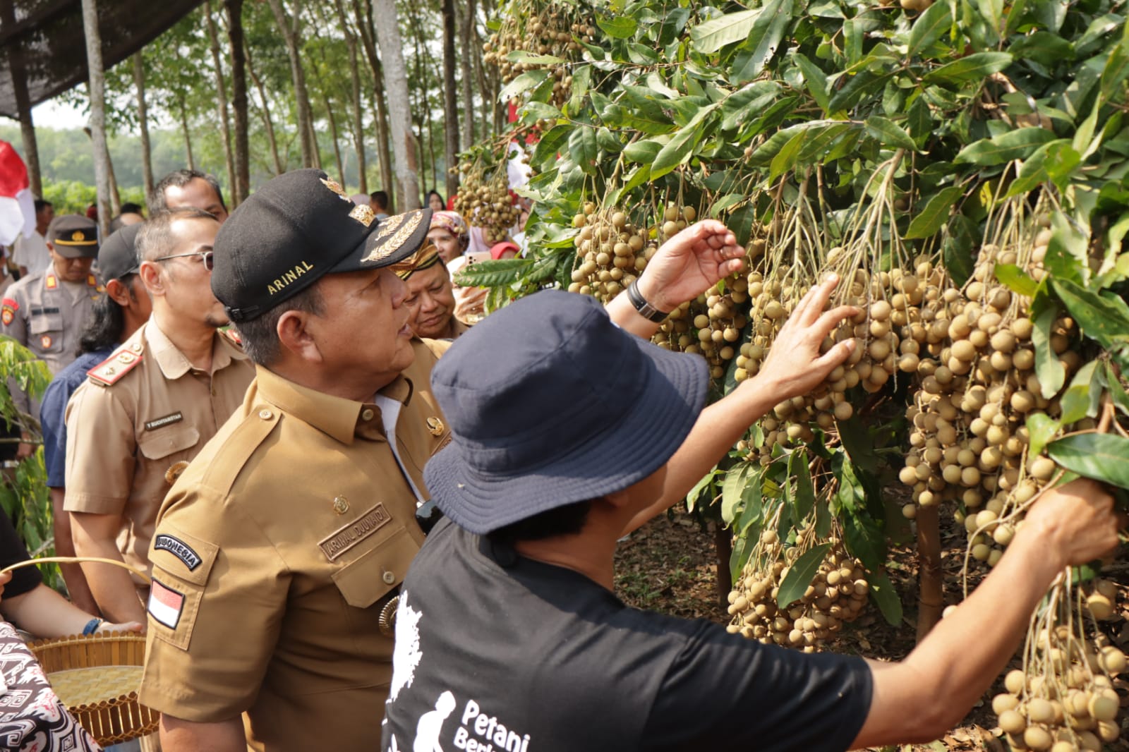 Gubernur Arinal Djunaidi Dorong Kabupaten Lampung Timur Sebagai Sentra Pengembangan Tanaman Kelengkeng