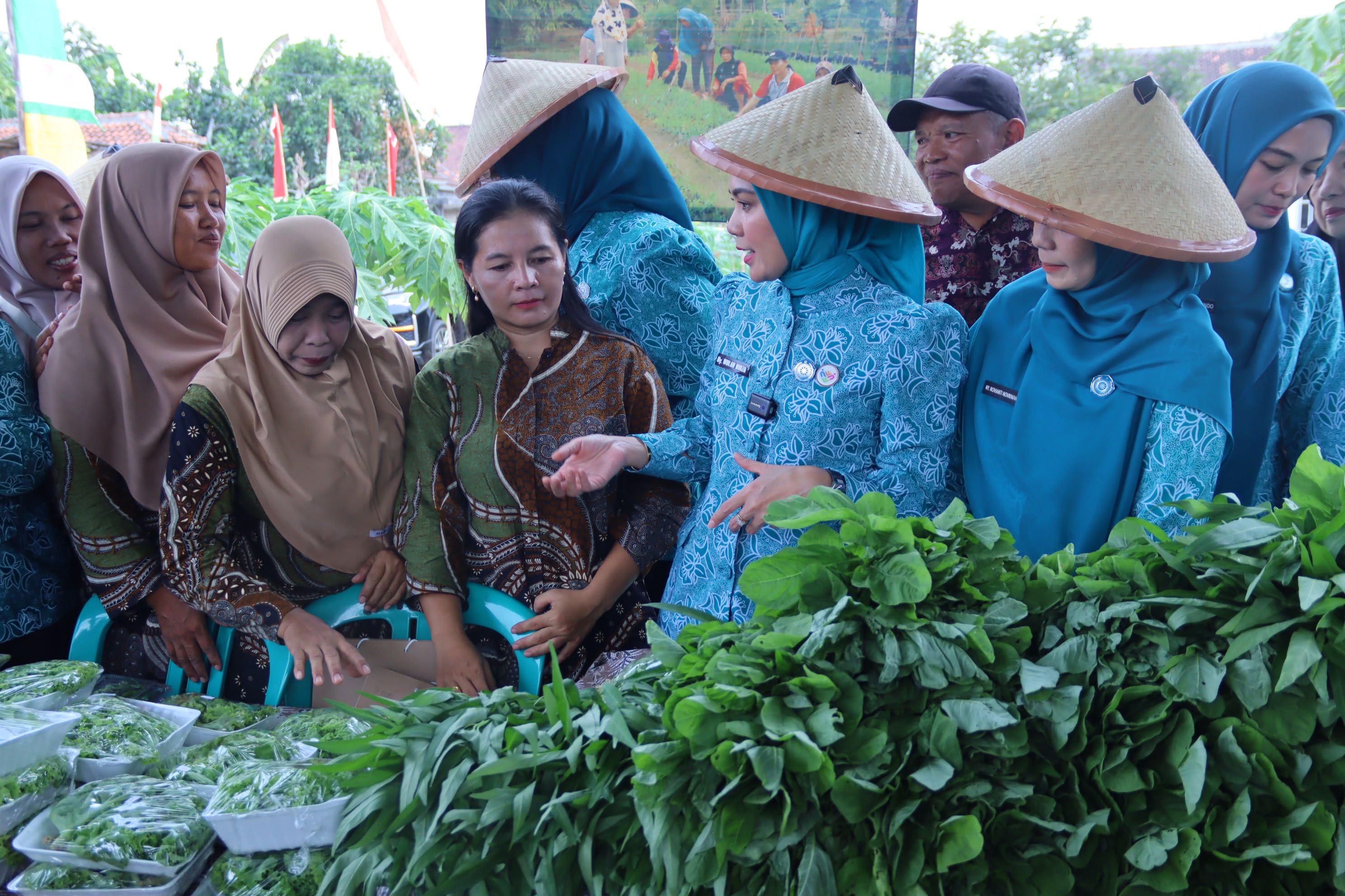 TP. PKK Provinsi Lampung Dorong Desa TAPIS Jadi Penggerak Ekonomi dan Ketahanan Keluarga