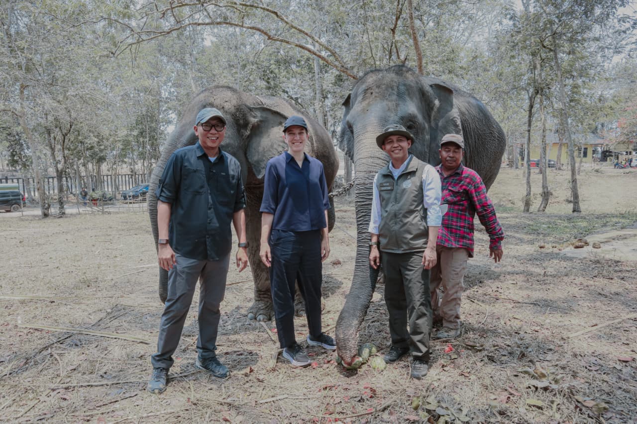 Pemprov Lampung Dorong Keseimbangan Konservasi Gajah dan Aktivitas Masyarakat
