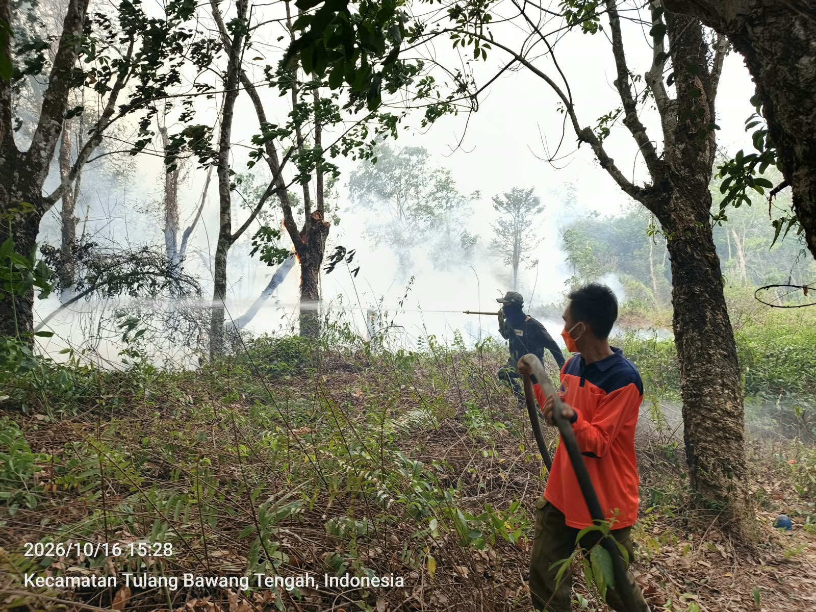 Dua Titik Karhutla di Tulang Bawang dan Lamteng Terkendali, BPBD Sampaikan Pesan Gubernur: Tingkatkan Kewaspadaan Karhutla