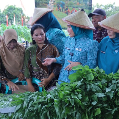 TP. PKK Provinsi Lampung Dorong Desa TAPIS Jadi Penggerak Ekonomi dan Ketahanan Keluarga