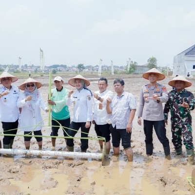 Pemprov Lampung Perkuat Pertanian Modern untuk Tingkatkan Produktivitas dan Pendapatan Petani