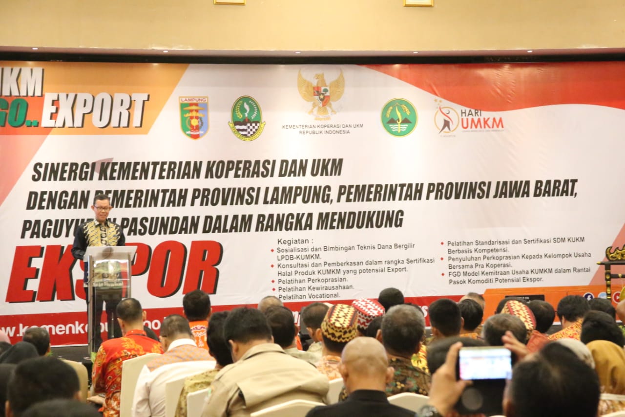 Peringatan Hari UMKM Tahun 2019 diharapkan UMKM lebih kreatif