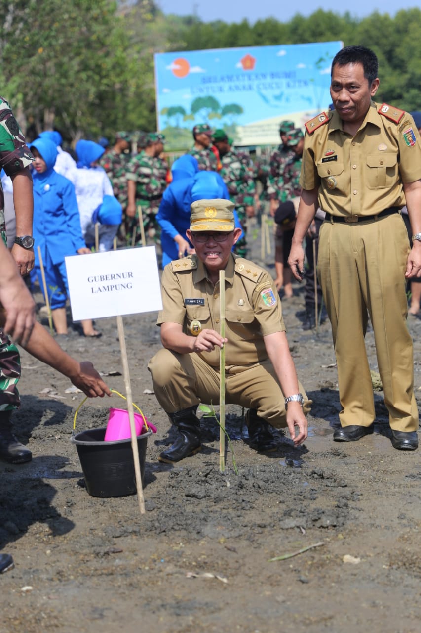 Rangkaian HUT TNI ke- 74, Gubernur Arinal Ajak Tanam Mangrove di Teluk Pandan