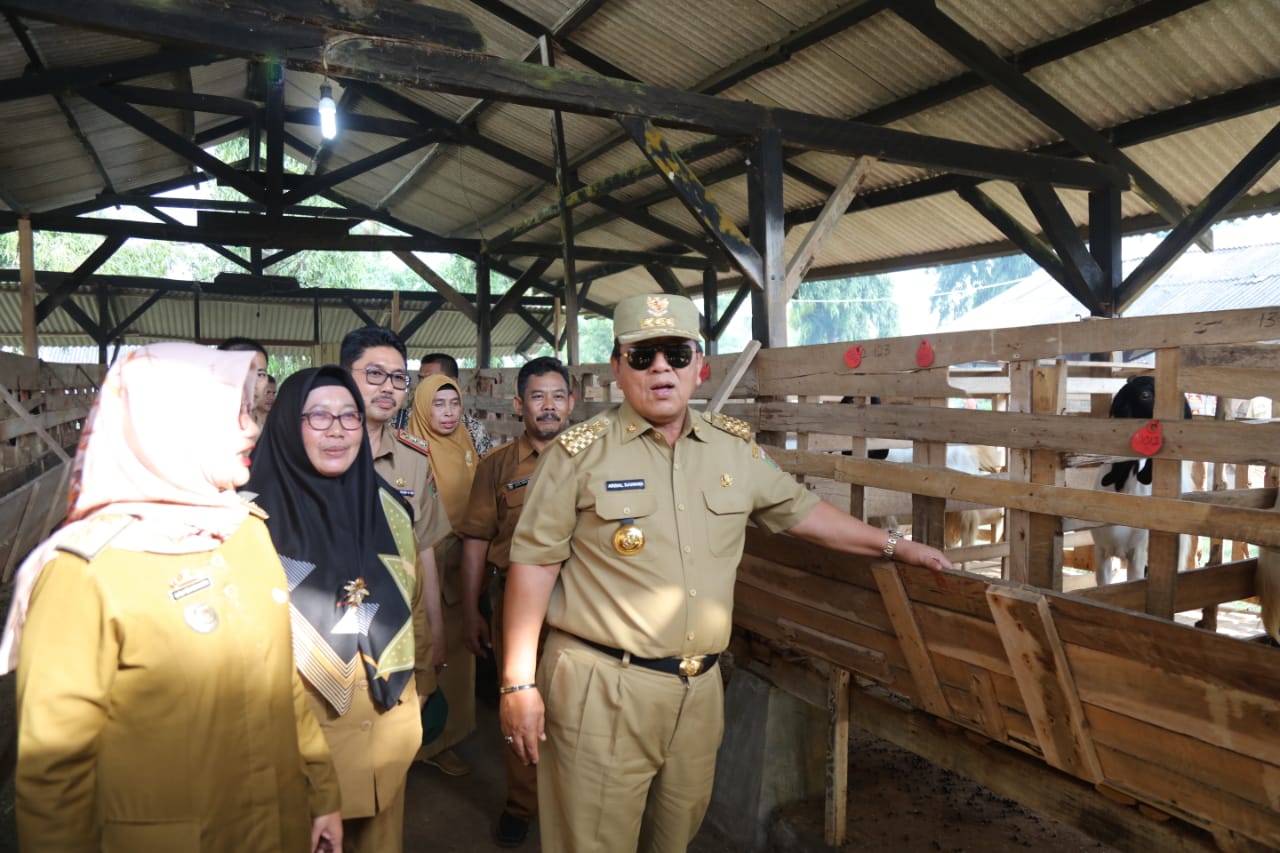 Gubernur Arinal Wujudkan Lampung sebagai Lumbung Ternak dab Pemasok Pangan DKI Jakarta